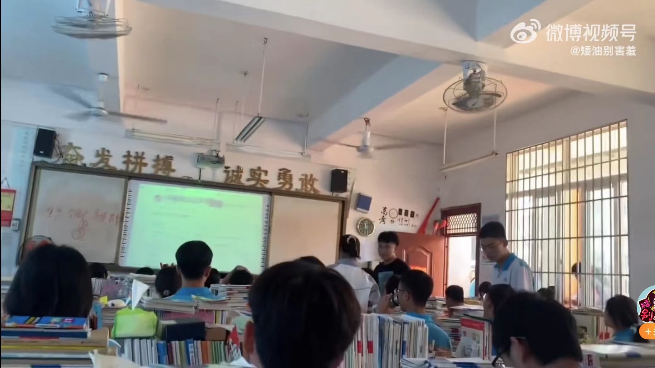 1655949560104089.jpg 520-4.jpg