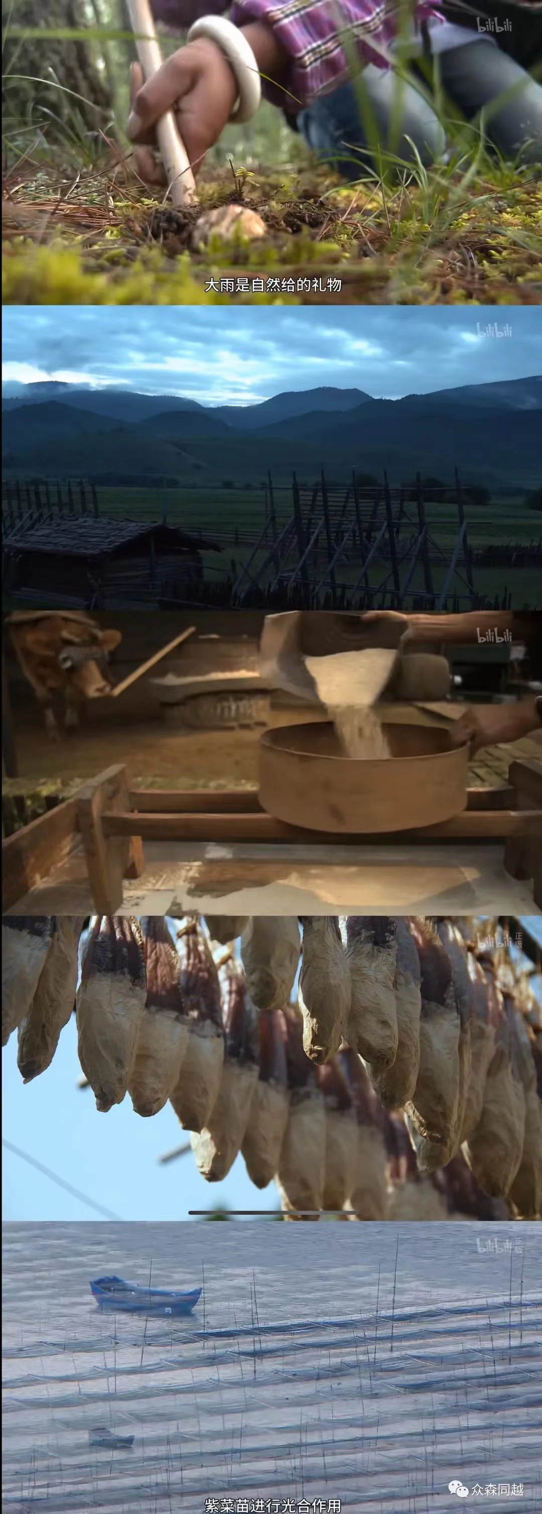 1660213818925046.jpg 31ed5a9edf9fb00997ff9298324715a.jpg