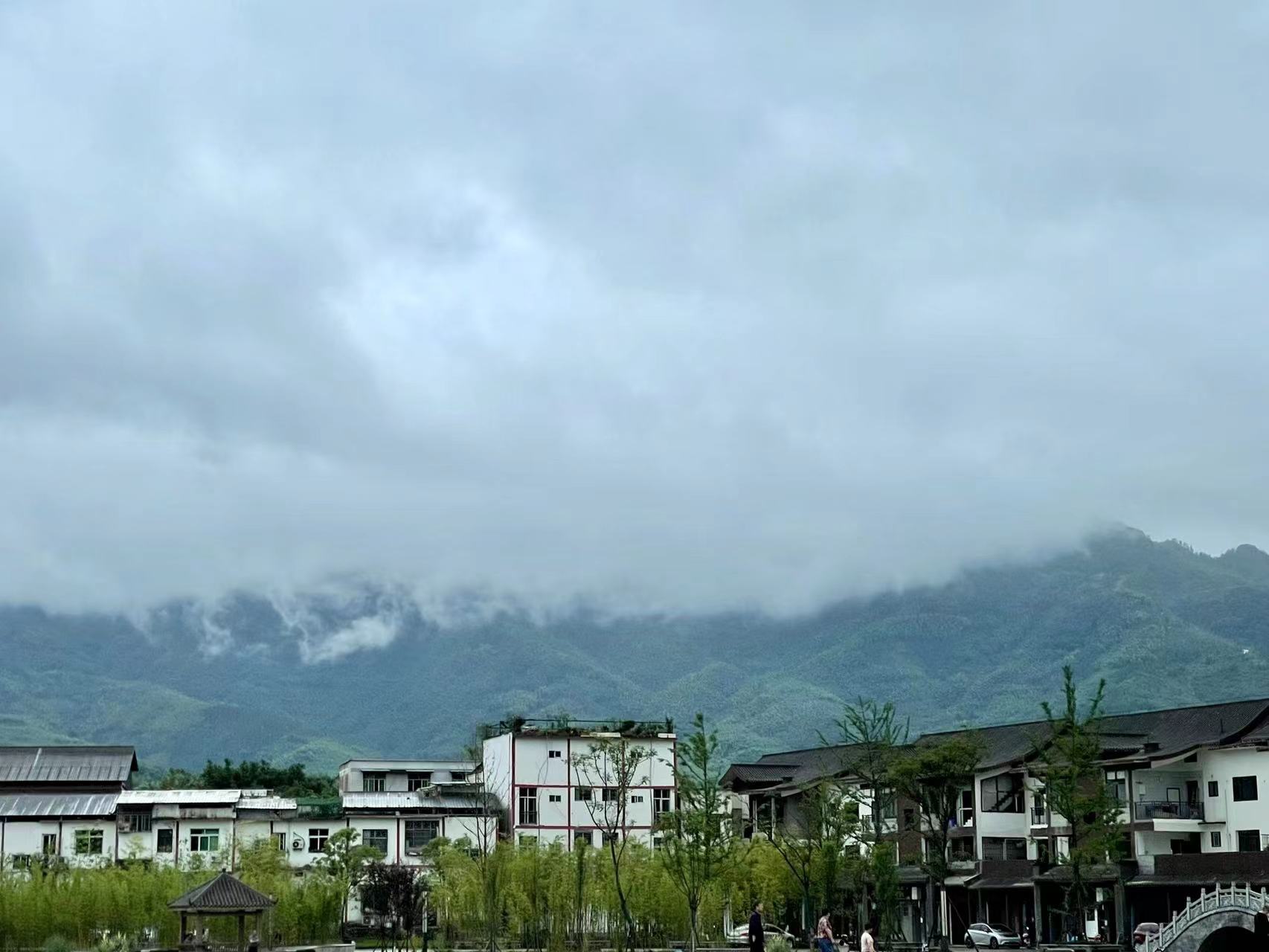 1661136584125593.jpg d3b46c59e6e17a6745c966a7a3de4da.jpg