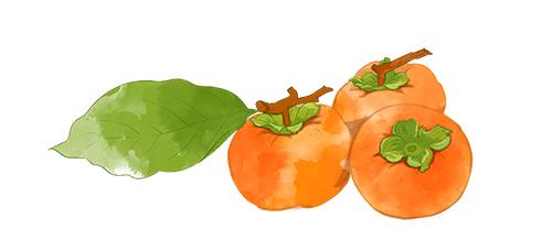 1663580720791215.jpg 10d40073ba2c17424aa107e4b4474e4.jpg