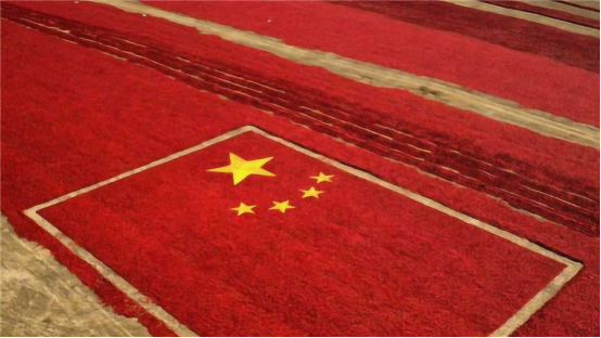 1717148081902334.png image.png